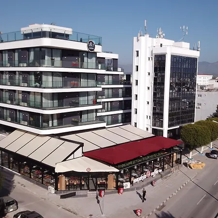 Sky Roof
